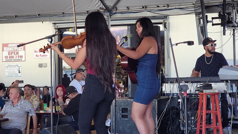 Free Live Entertainment Every Weekend Without Fail