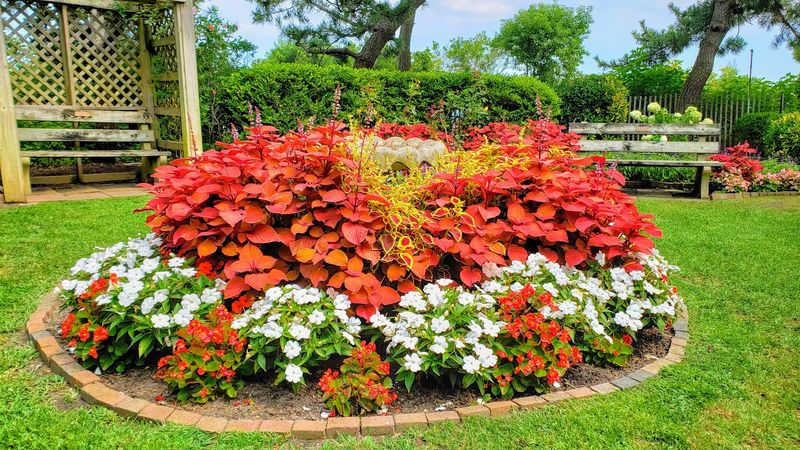 Gardens That Span Over 170 Plant Varieties