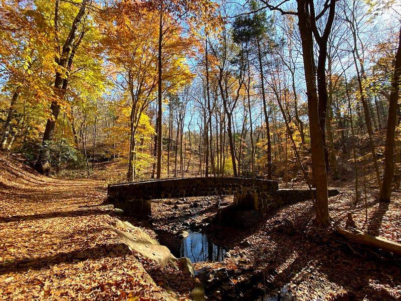 Seasonal Magic: How the Falls Transform All Year Long