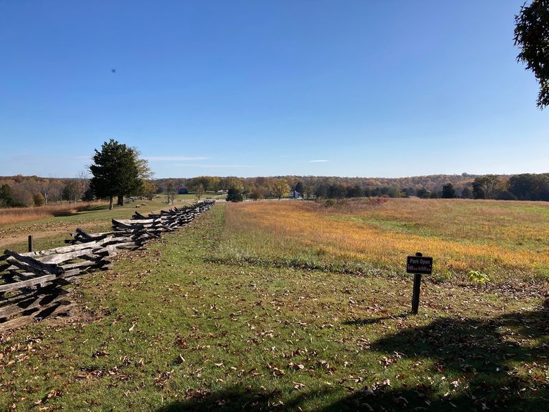 The Surrender Triangle: Ground Zero Of American Peace