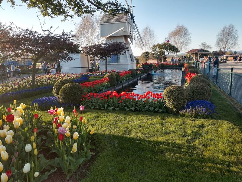 Easy Paths Make The Visit Feel Relaxed