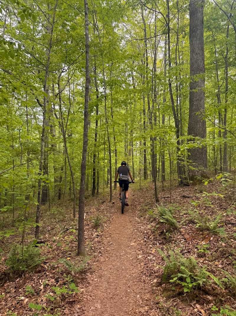 Morgan Mountain Bike Trails: Where Technical Riders Find Their Happy Place