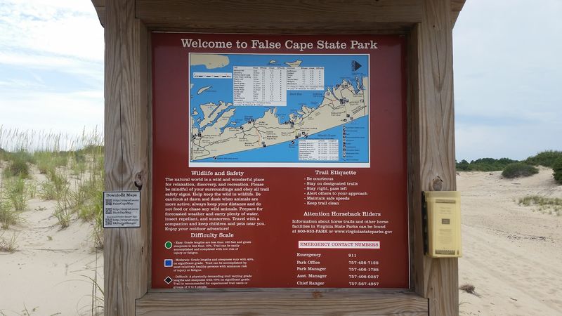 Planning Your Visit: Everything You Need To Know Before You Go