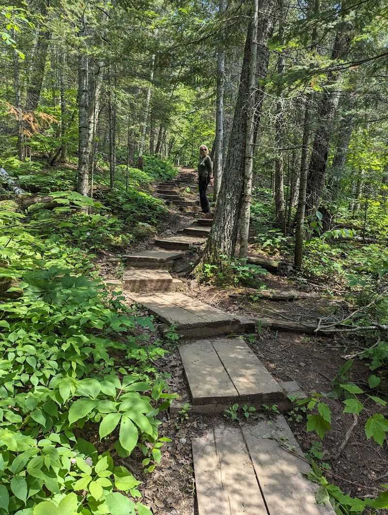 Hiking Trails for Every Skill Level