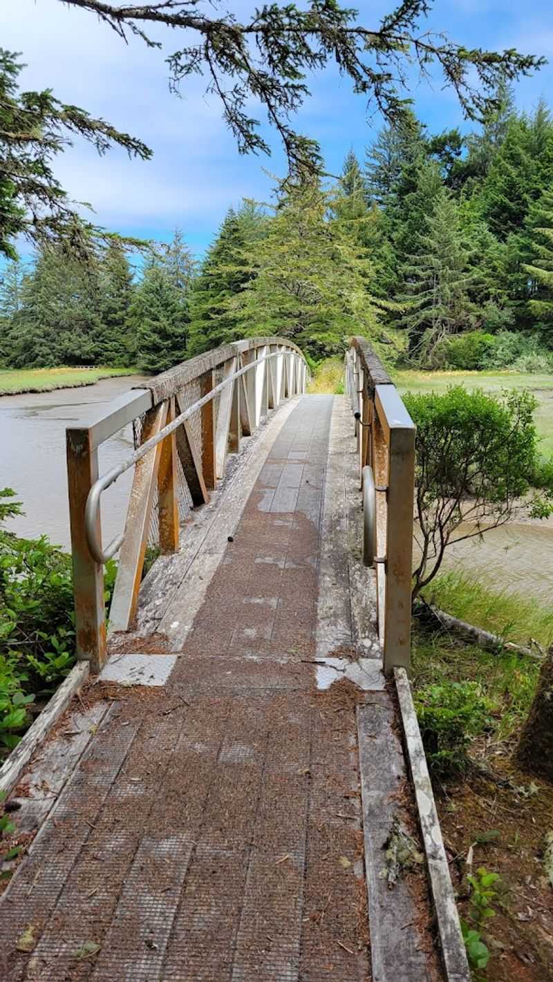 Hiking the Trails Through Old Forest