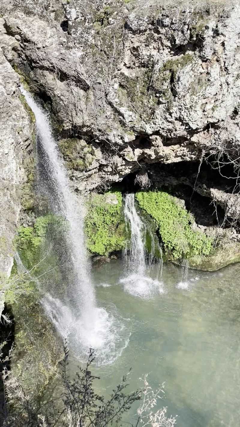 Camping and Yurts Right Inside the Forest