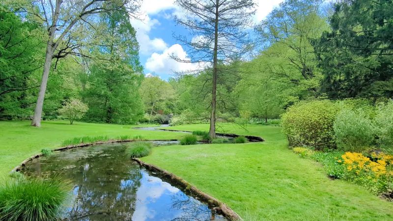 Woodland Walks Program on Sundays in May