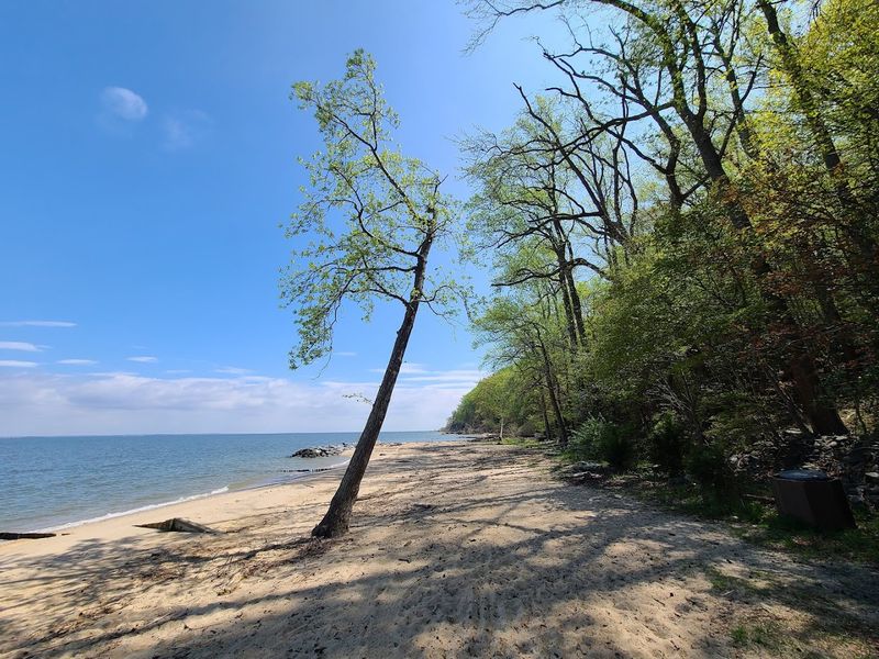 Picnic Areas and Beaches: The Park's Most Relaxed Side