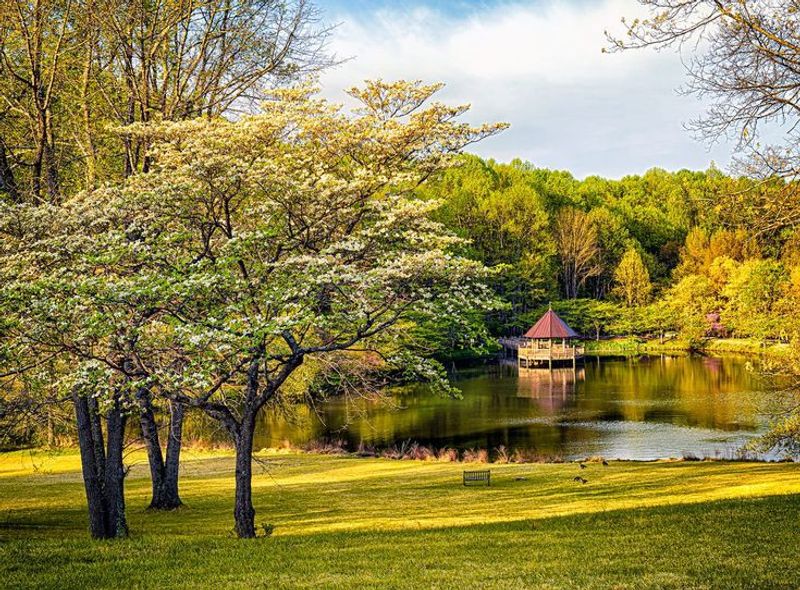 Plan Your Visit to 9750 Meadowlark Gardens Ct, Vienna, VA