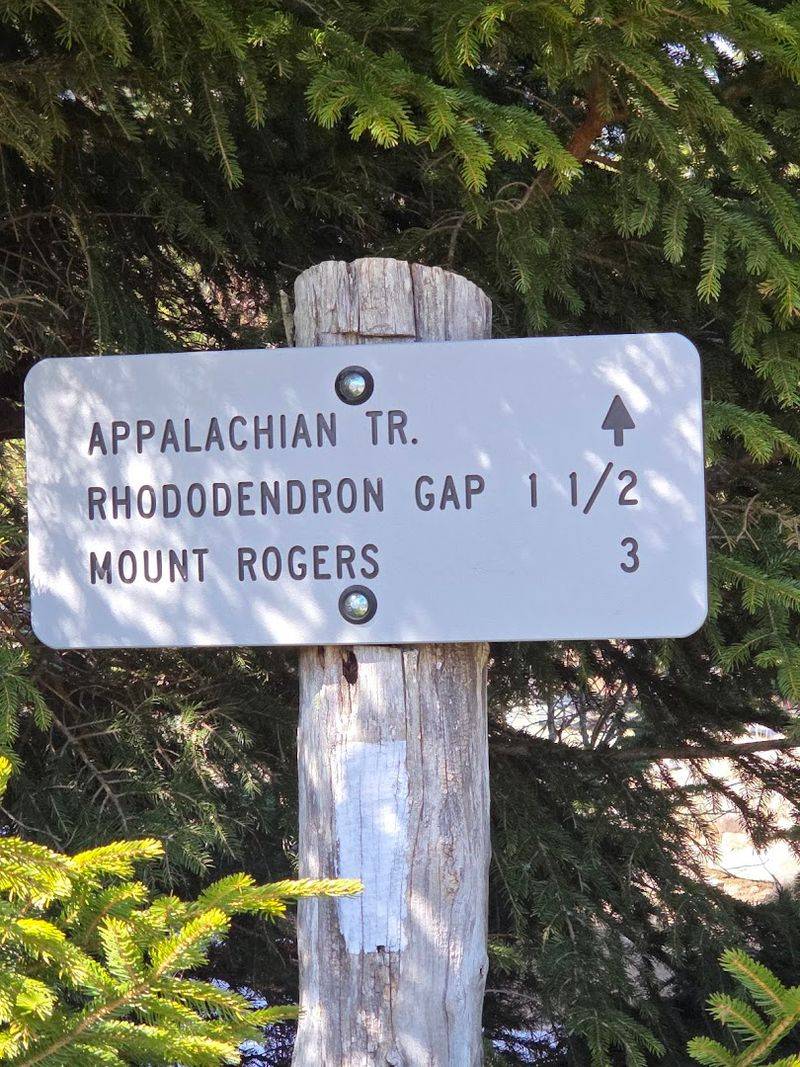 Plan Your Visit: Getting There and What to Know