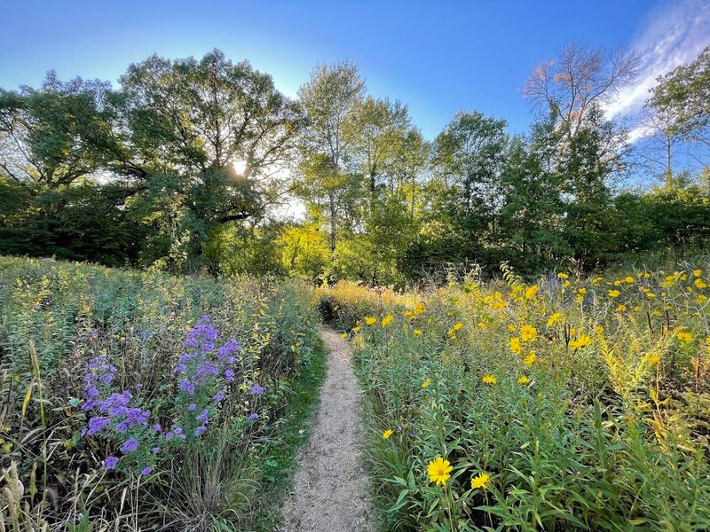 Seasonal Changes That Reward Repeat Visits