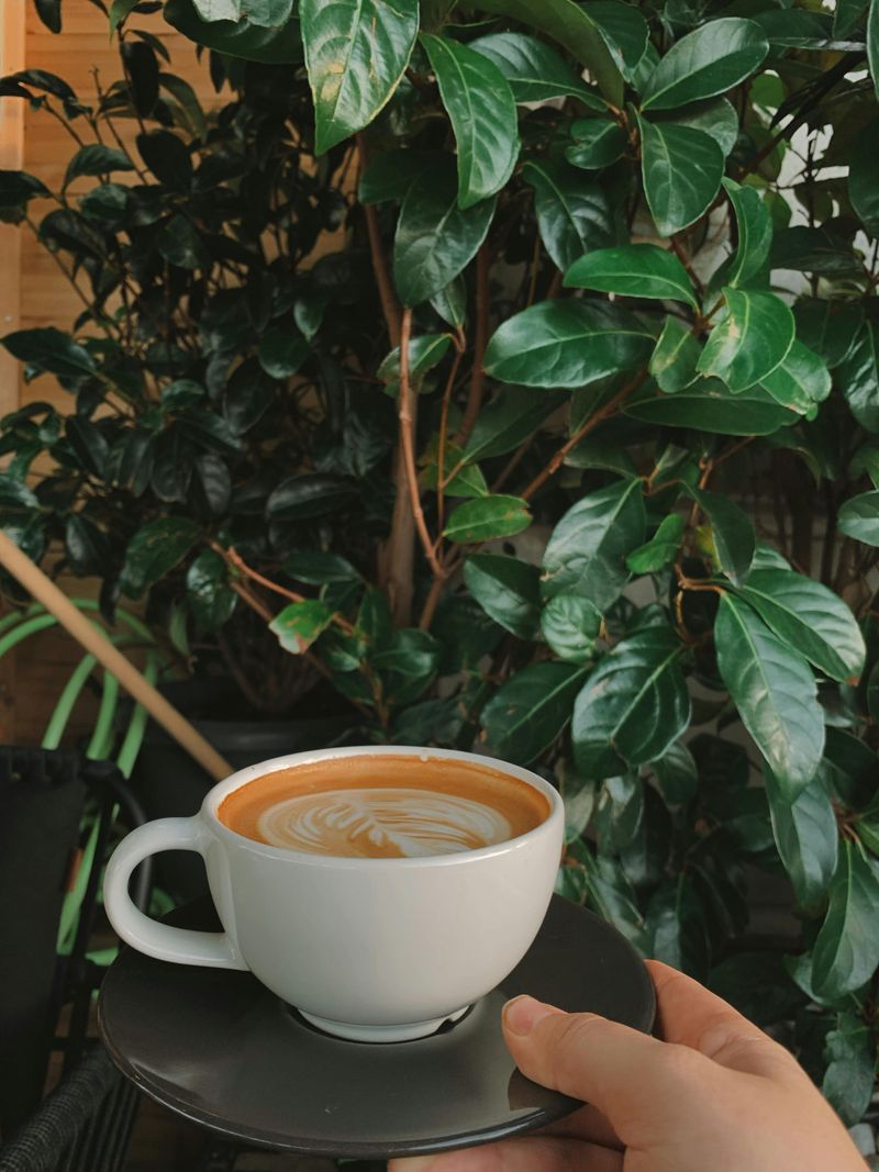 Morning Coffee That Hits Differently on the Coast