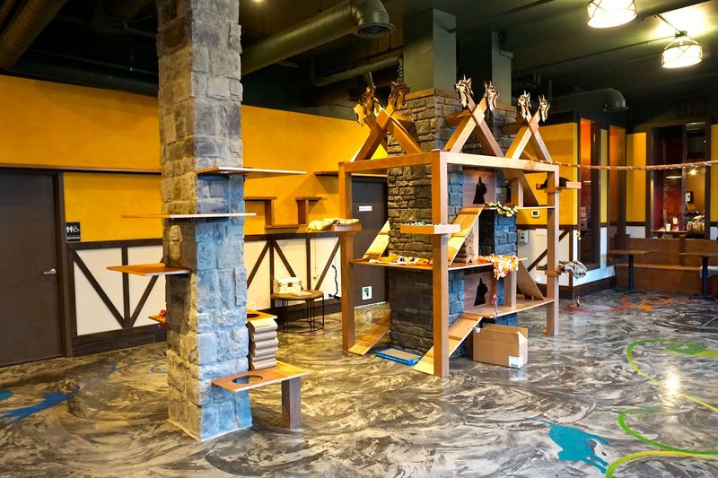 Stepping Inside Seattle'S First Cat Cafe