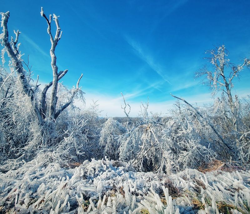 Seasonal Magic: Why Every Month Brings Something New