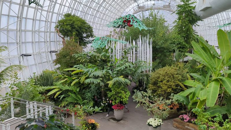 Tropical Plants From Around the World Fill Every Corner