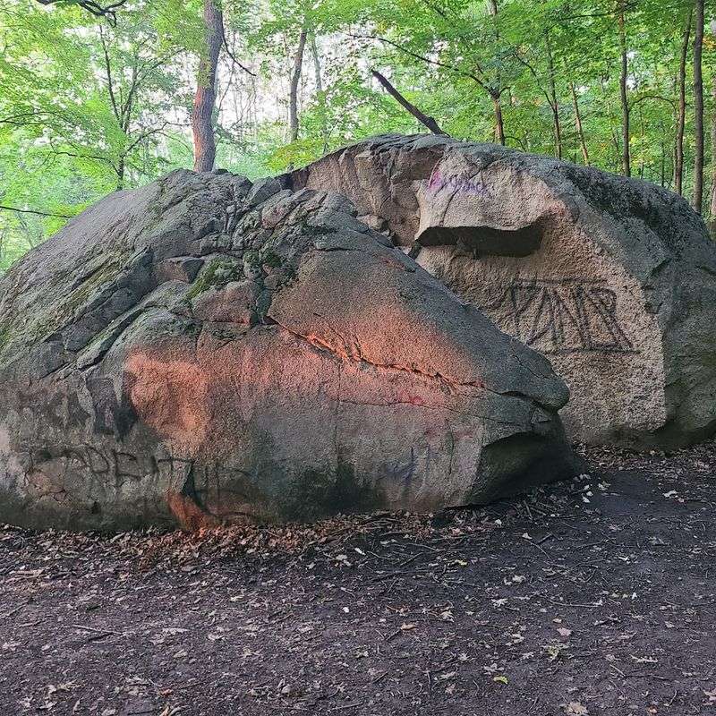 The Giant Split Rock in the Middle of the Forest