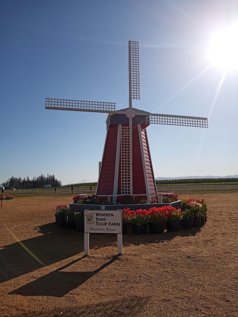 A Community Built on Deep Roots