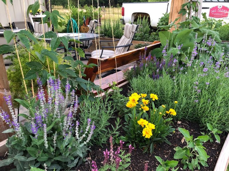 Why This Farm Stays With You Long After You Leave