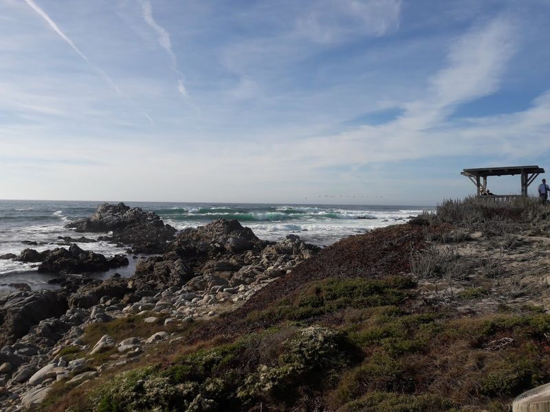 Dunes That Are Actually Alive