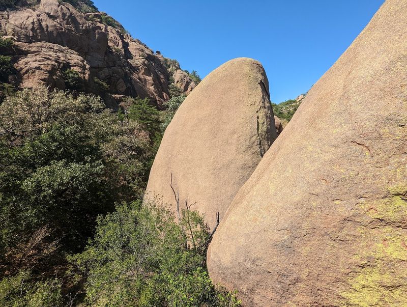 Best Time of Year to Visit Boulder Rooms