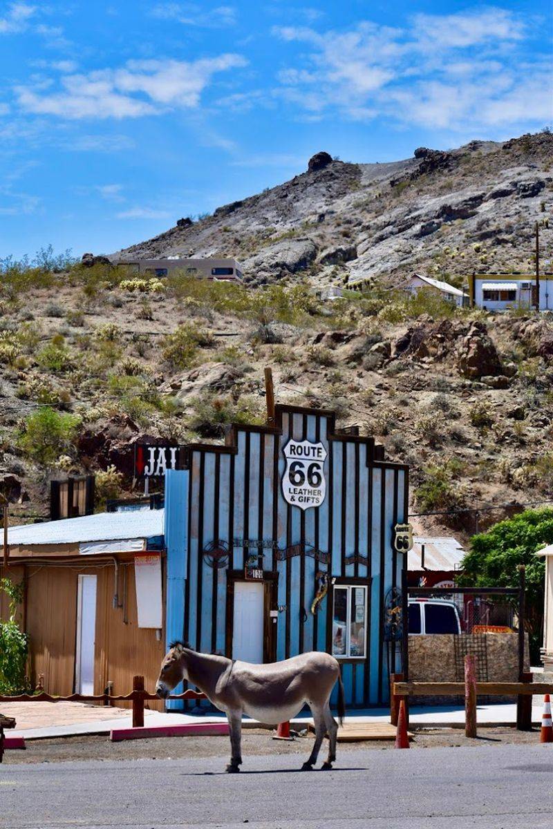 Stopping Traffic Like They Own the Road