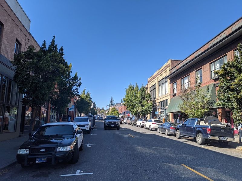 Oak Street and the Slow Disappearance of Local Shops