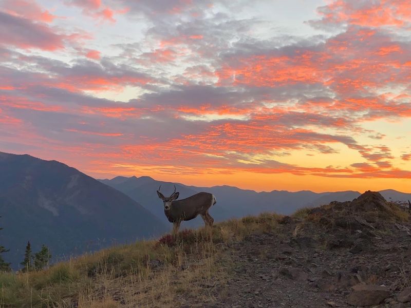Three Hundred Sixty Degree Views Of Glacier National Park