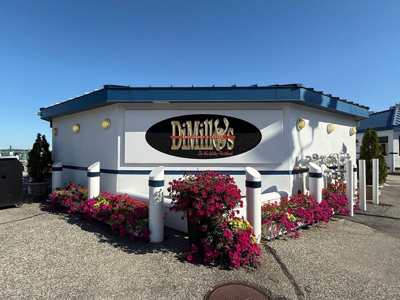 Why Every Seat Feels Like A Window Seat