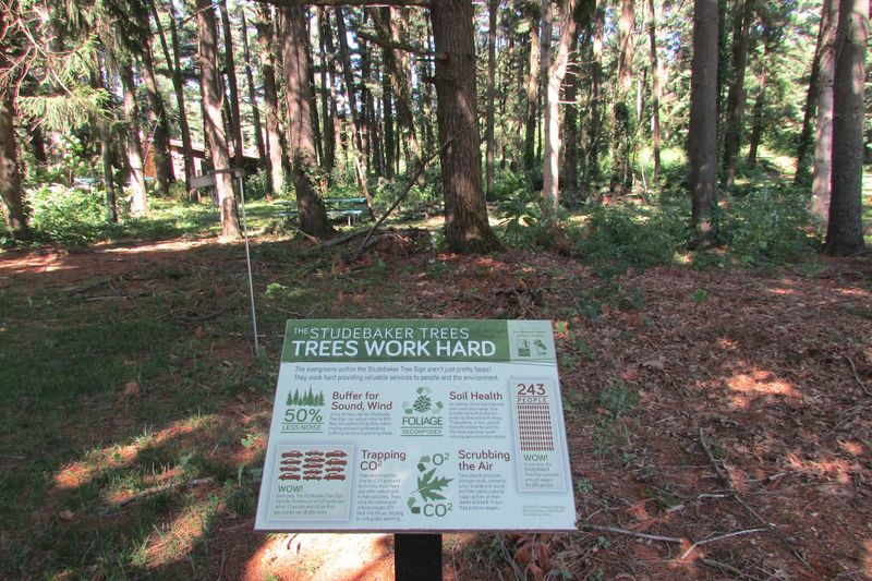 Rich Automotive History Rooted in the Land