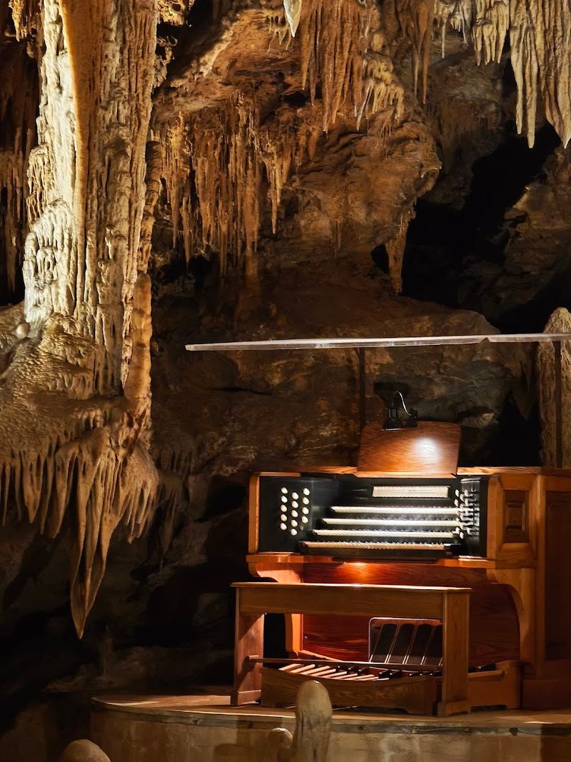 Meet the Brilliant Mind Behind the Music