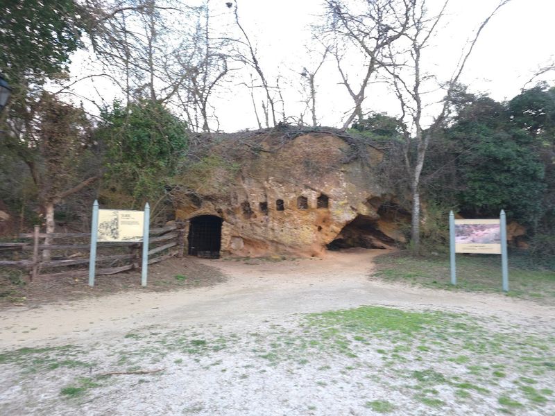 Cornwallis's Cave: The Legend Beneath the Bluff