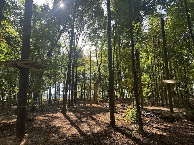 30+ Treetop Obstacles: A Course Built for Adventurers