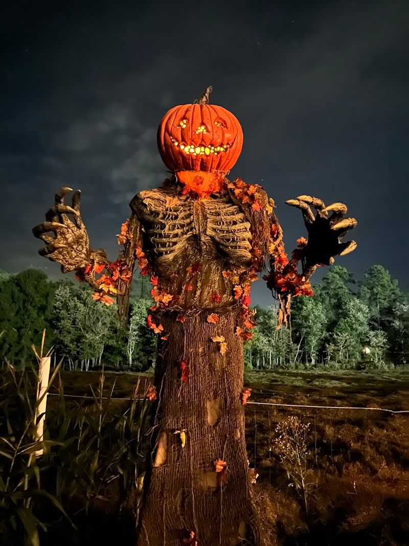 rabbits cry field corn maze and the monsters hiding between the stalks