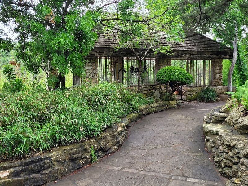 Seasonal Hours That Reward Early Morning Visitors