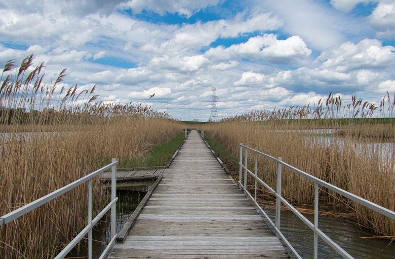 The Marsh Discovery Trail: A Boardwalk Unlike Anything You Expect