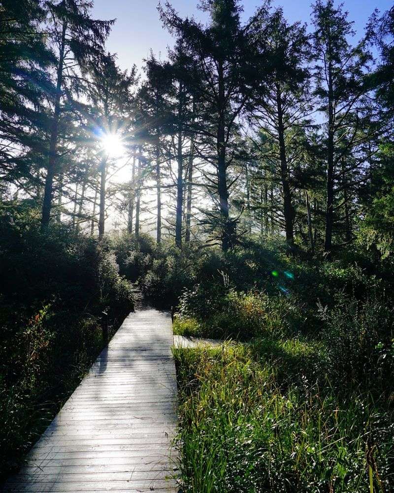 The Surprise That Waits Behind a Simple Sign