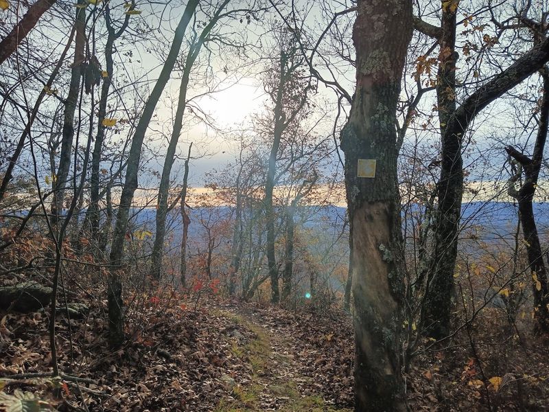 The Trail Itself: A Loop That Rewards Every Step