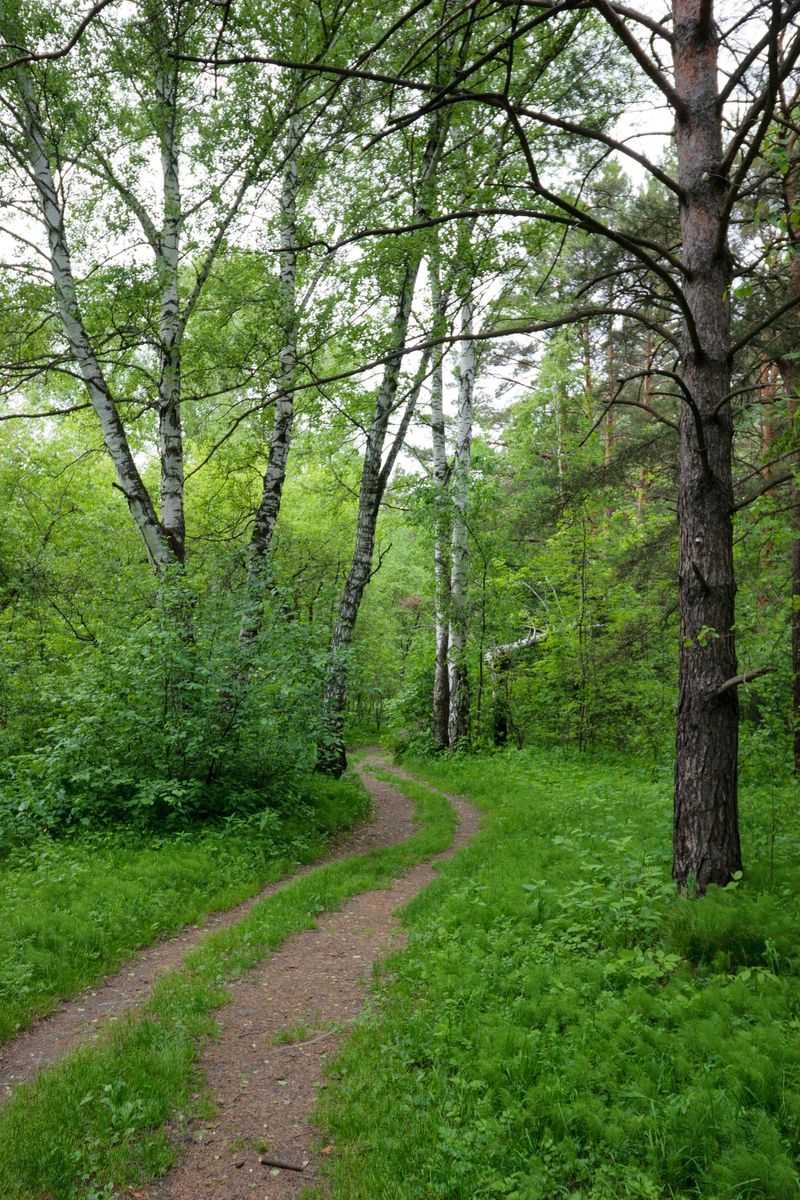 A Trail That Teaches You While You Walk