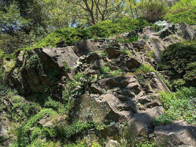 The Rock Gardens: Where Geology Meets Beauty