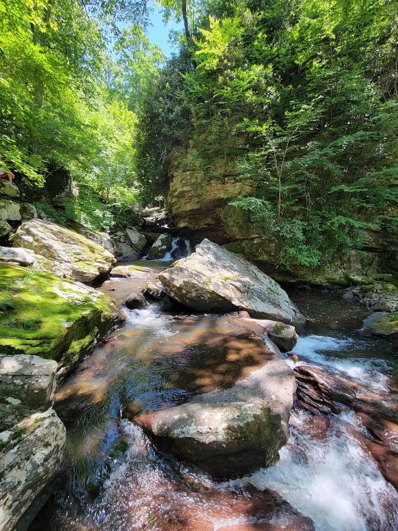 The Trailhead: Where the Adventure Kicks Off