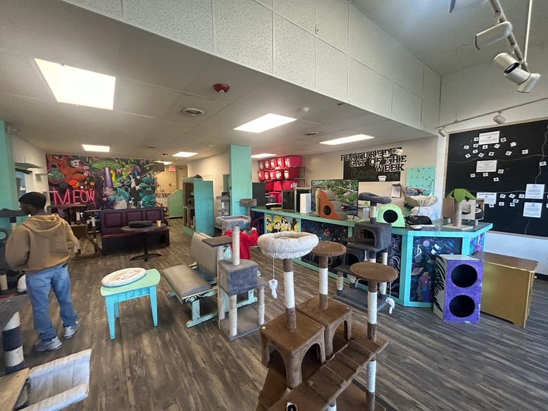 A Two-Room Setup That Just Makes Sense