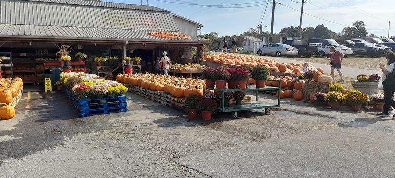 A Georgia Farm Stop Built For Lingering
