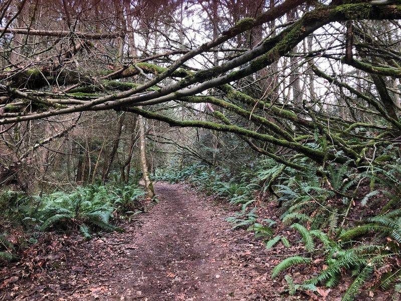 The Red Town Trailhead: Where the Journey Begins