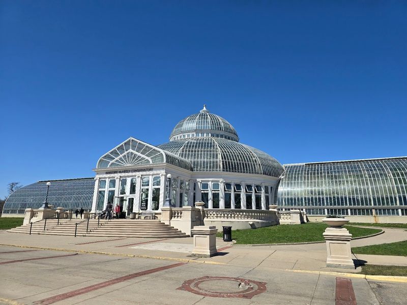 Free Admission That Actually Means Something