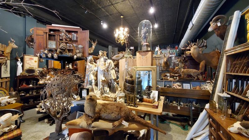 A Shop That Feels Like Stepping Into Another Era