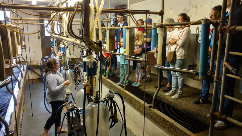 A Working Farm That Feels Like Stepping Into Another World