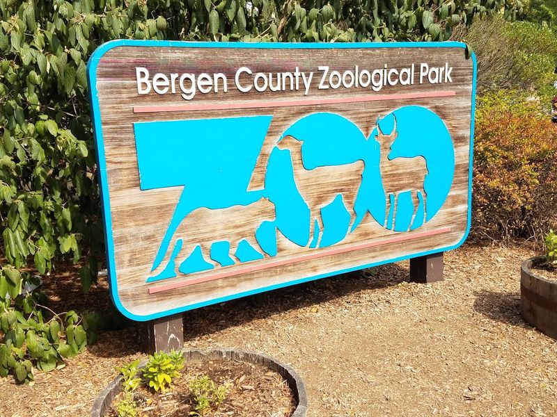 Why Bergen County Zoo Is the Underdog of Family Day Trips