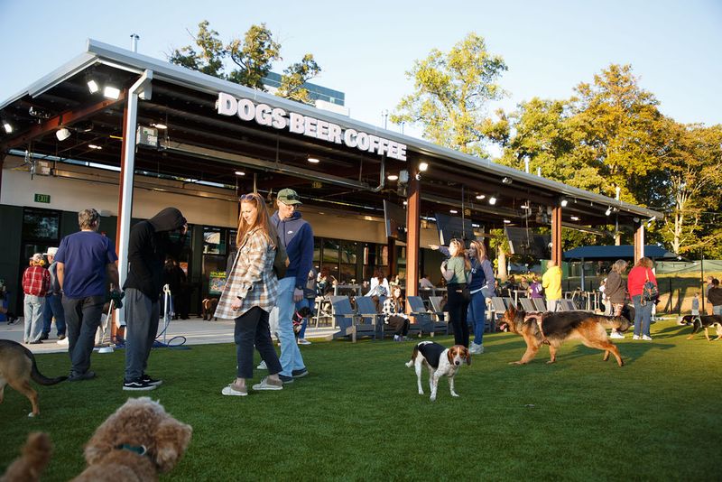 A Place Built Around Dogs and the People Who Love Them