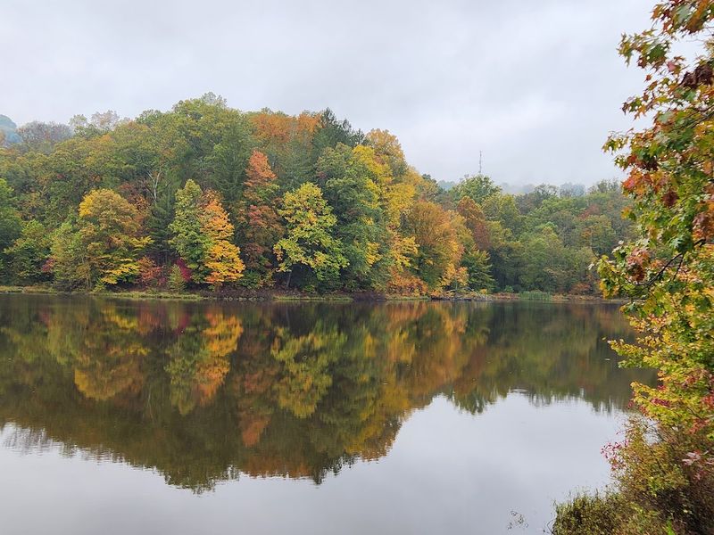 Scenic Beauty That Stops You Mid-Step