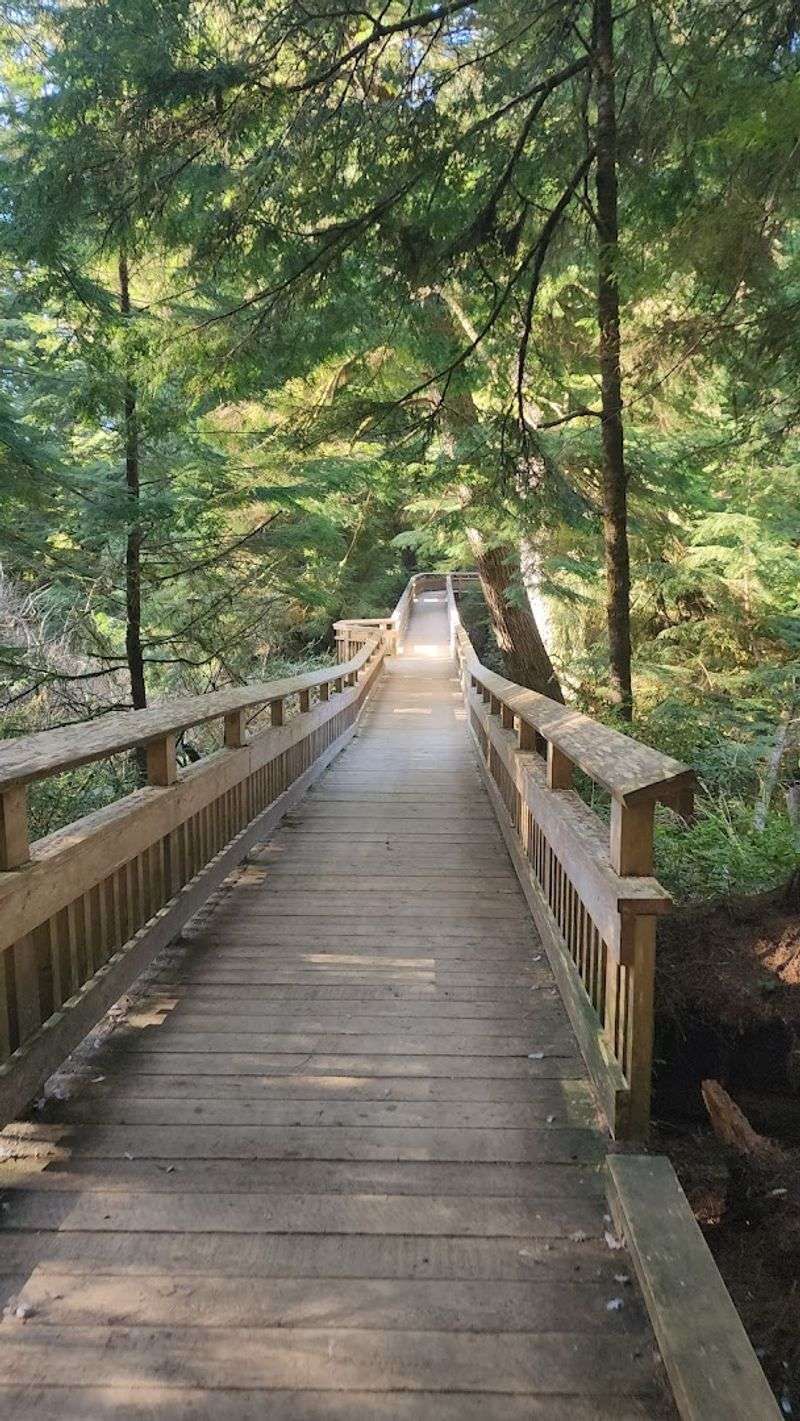 The Trailhead and First Steps onto the Boardwalk